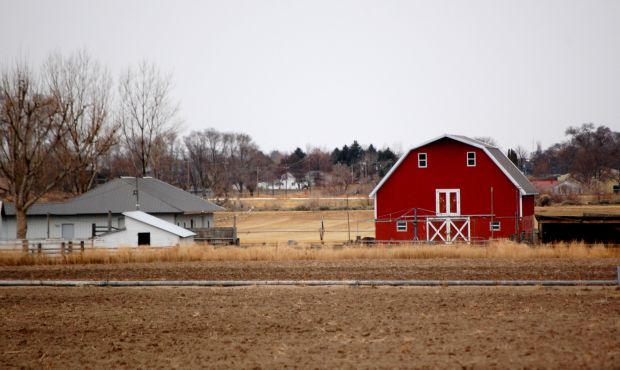 Barn